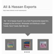 Ali & Hassan Exports