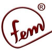 Fem Export