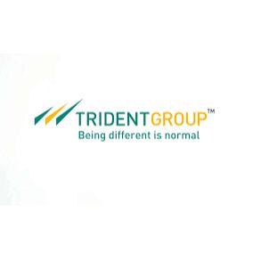 TRIDENT LIMITED