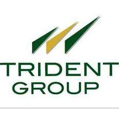 TRIDENT GROUP