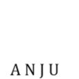 ANJU INTERNATIONAL