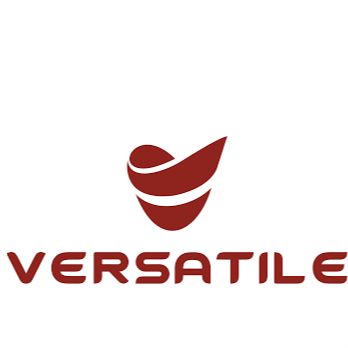 VERSATILE ENTERPRISES PRIVATE LIMITED