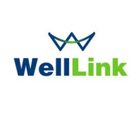 Well Link Consultants Ltd