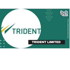 Trident Limited-ludhiyana