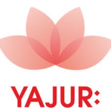 Yajur fibres limited