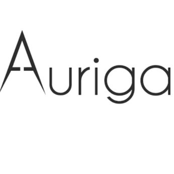 Auriga Software Pvt. Ltd.