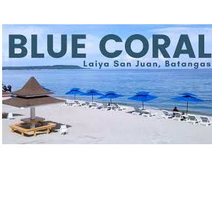 Blue Coral