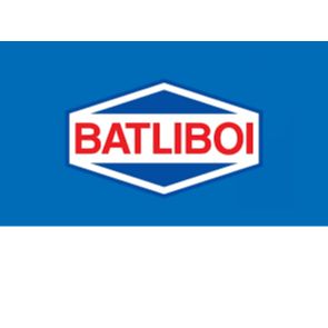 Batliboi Ltd.